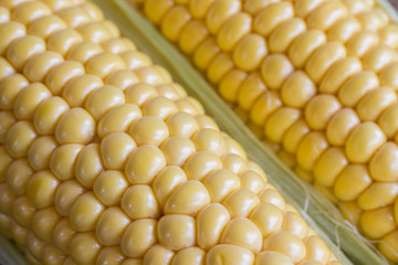 Raw corn cob close up