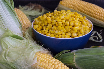 Raw corn on the cob and grains of corn in a blue bowl