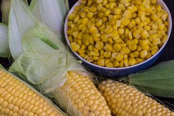 Raw corn on the cob and grains of corn in a blue bowl.