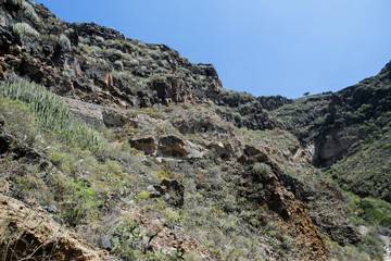 Fototapeta na wymiar Tenerife landscape, Canary Islands, Spain