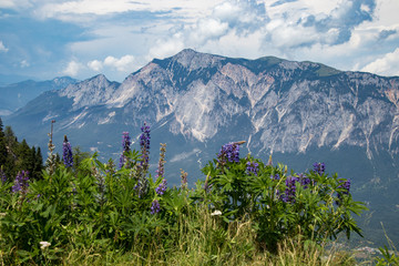 Gipfel des Dobratsch vom Dreiländereck gesehen