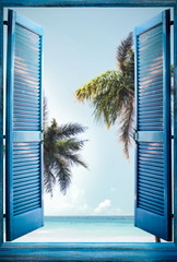 Blue wooden window and summer palms 