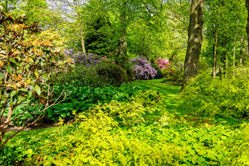 Garden at Holyrood Palace