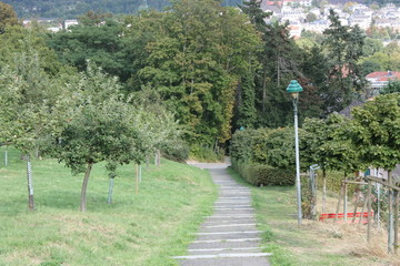 Stufen bergab