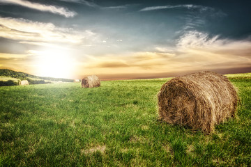 Idyllic farm field with hay bales on on the background of the picturesque sky at sunset.