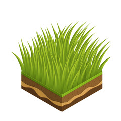 Summer grass, soil tile layers isometric 