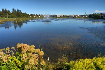 Panorama of Reykjavík  -  the capital and largest city of Iceland © robnaw