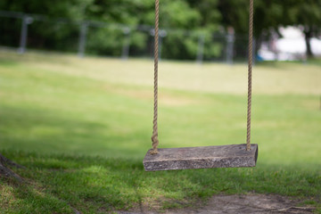 Empty tree rope swing with wooden board in summer park