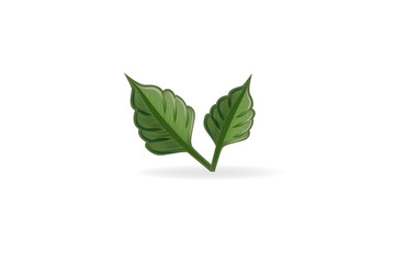 Leaf health nature logo vector