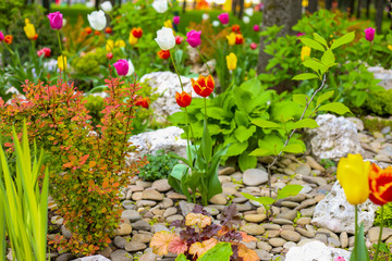 a background of a green garden path with beautiful large stones boulders border plants growing and blooming