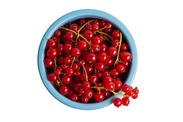 Ripe currants in a blue ceramic cup on a white isolated background