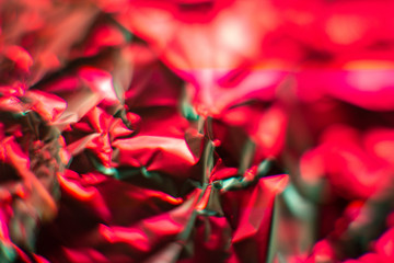 Neon colored trendy foil backdrop . Bright holographic foil background