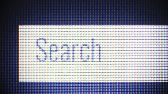 Search bar on computer screen close up