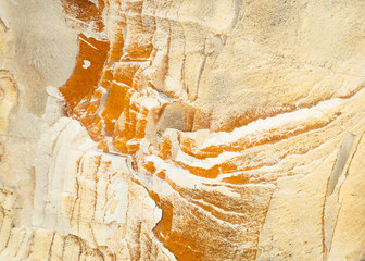 The texture of the background rock pattern