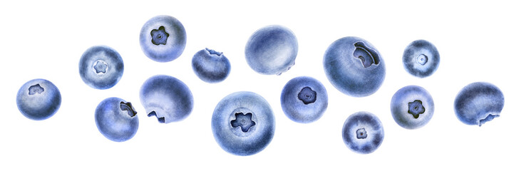 Blueberries. Flying berries isolated on white background. Superfoods collection. Watercolor hand...