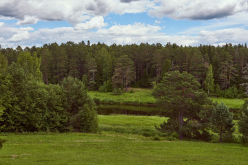 Fototapeta na wymiar Landscape: green banks, river, dense forest.