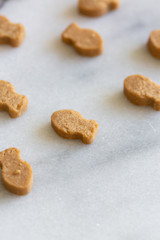 Fish Shaped Cat Treats