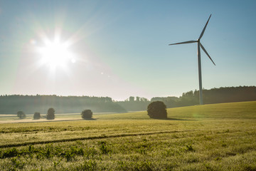 landscapes with windmills