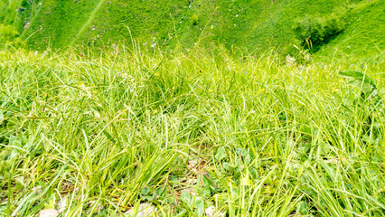  magnificent nature of Georgia