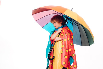 Sale for entire autumn collection, incredible discounts and wonderful choice. Cute little child boy are getting ready for autumn. Cheerful boy in raincoat with colorful umbrella. Raining kids.