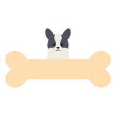 little dog adorable with bone