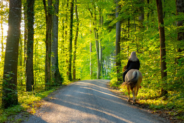 junge blondhaarige Frau reitet auf Norwegischem Fjordpferd durch den Frühlings Wald bei...