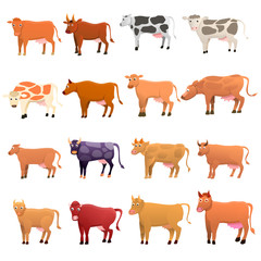 Cow icons set. Cartoon set of cow vector icons for web design