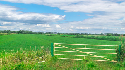 Fence in Dutch polder landscape