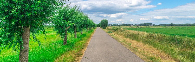 Dutch meadow panoramic landscape