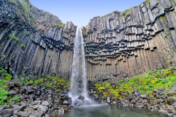 Svartifoss (Black Falls)  -  waterfall in Skaftafell in Vatnajökull National Park in Iceland, - obrazy, fototapety, plakaty
