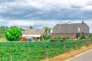 Farm in Dutch meadow landscape