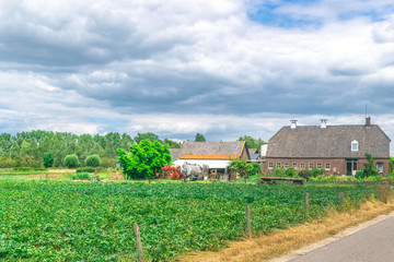 Fototapeta na wymiar Farm in Dutch meadow landscape