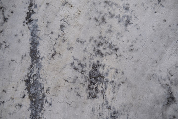 Grey concrete wall, floor texture