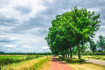 Fototapeta na wymiar Bike path in Dutch Meadow