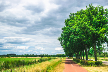 Fototapeta na wymiar Bike path in Dutch Meadow, The Netherlands