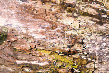  Old colourful rich wood texture and pattern background for design