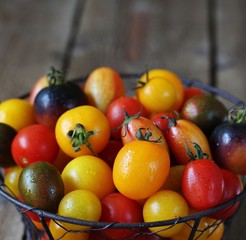 cherry tomatoes are different varieties in the basket, small tomatoes of different colors and types.