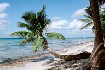 Obraz na płótnie Canvas Caribbean sea. Tropical, exotic water landscape with yachts on horizon. Topical paradise. Ocean nature. Saona Island. Domincan Republic