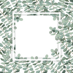 Beautiful background with leaves eucalyptus and space for text, isolated on white. Vector Watercolour.