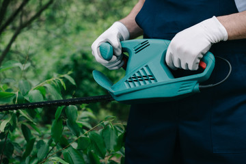 partial view of gardener trimming bushes with electric pruner in park
