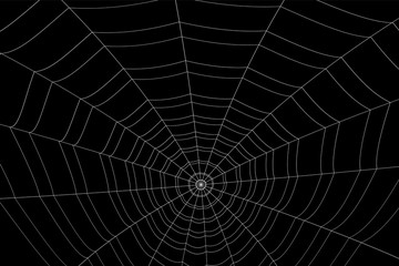 concentric white web on a gray background