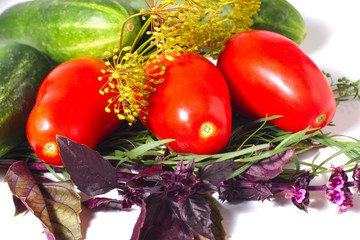 Closeup from the tomatoes, cucumbers and spices isolated on the white background