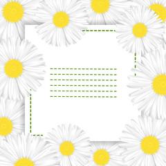Beautiful background with Camomile flowers. Space for text. Vector illustration.
