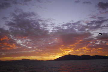 Sub tropical sunrise