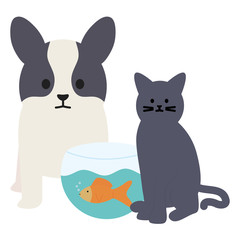 cute cat and dog with fish in aquarium mascots