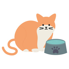 cute cat mascot with dish water