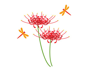 彼岸花2 © Rica Nohara