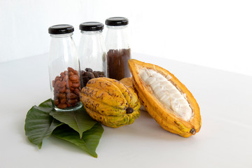 fresh cocoa with seed and leaves on whith background