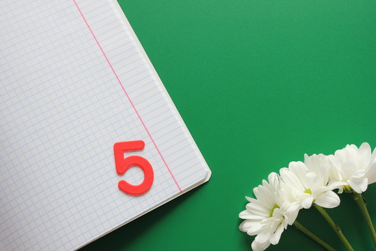 Clean notebook in the box and mark five in it. Three white chrysanthemums on a green background. Back to school. - Powered by Adobe