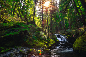 Lover's Lane Falls, Sol Duc Wilderness